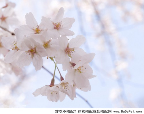 最是人间留不住，朱颜辞镜花辞树
