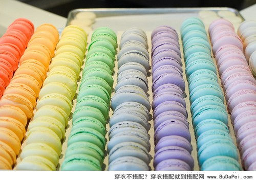 新春首买单品之马卡龙
