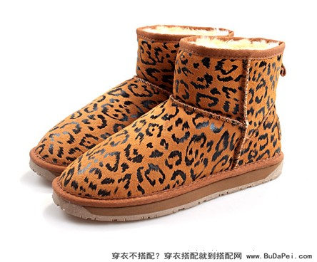 不一样的豹纹，一样的美丽